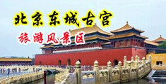 日韩一二三四不卡免费视频中国北京-东城古宫旅游风景区